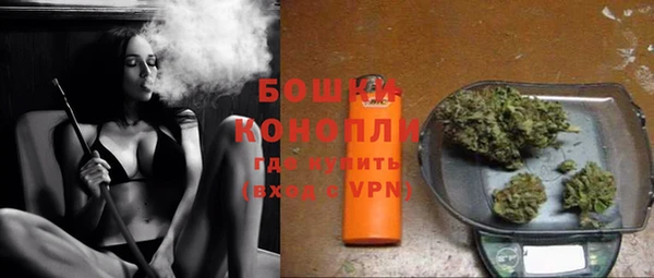 сатива Нефтекумск