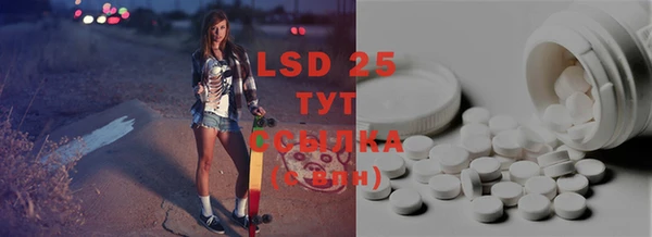 сатива Нефтекумск
