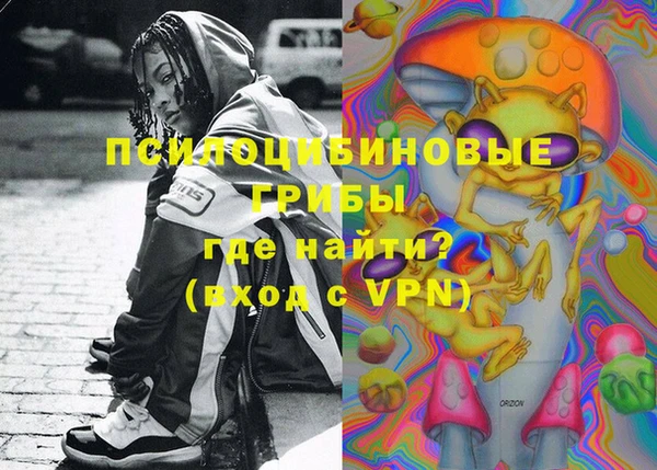 сатива Нефтекумск