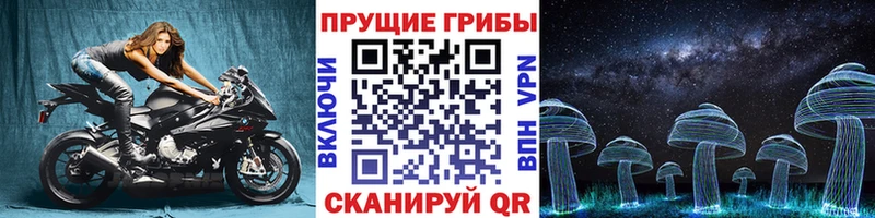 Галлюциногенные грибы мухоморы  Пионерский 